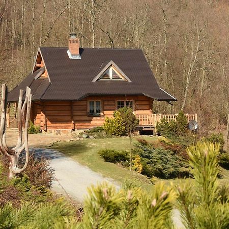 Lesne Uroczysko Villa Cisna Bagian luar foto