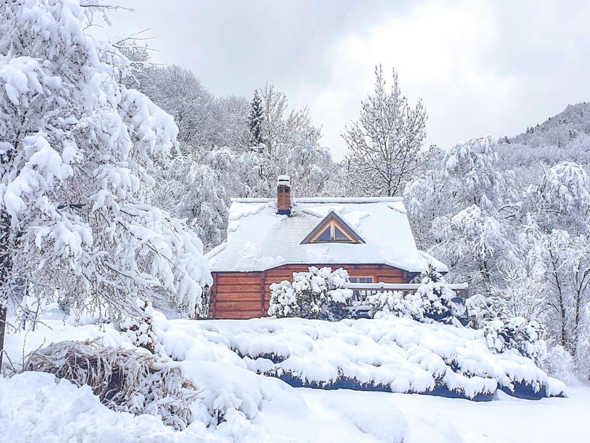 Lesne Uroczysko Villa Cisna Bagian luar foto