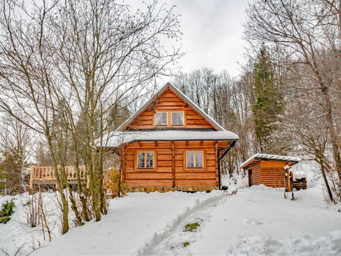Lesne Uroczysko Villa Cisna Bagian luar foto