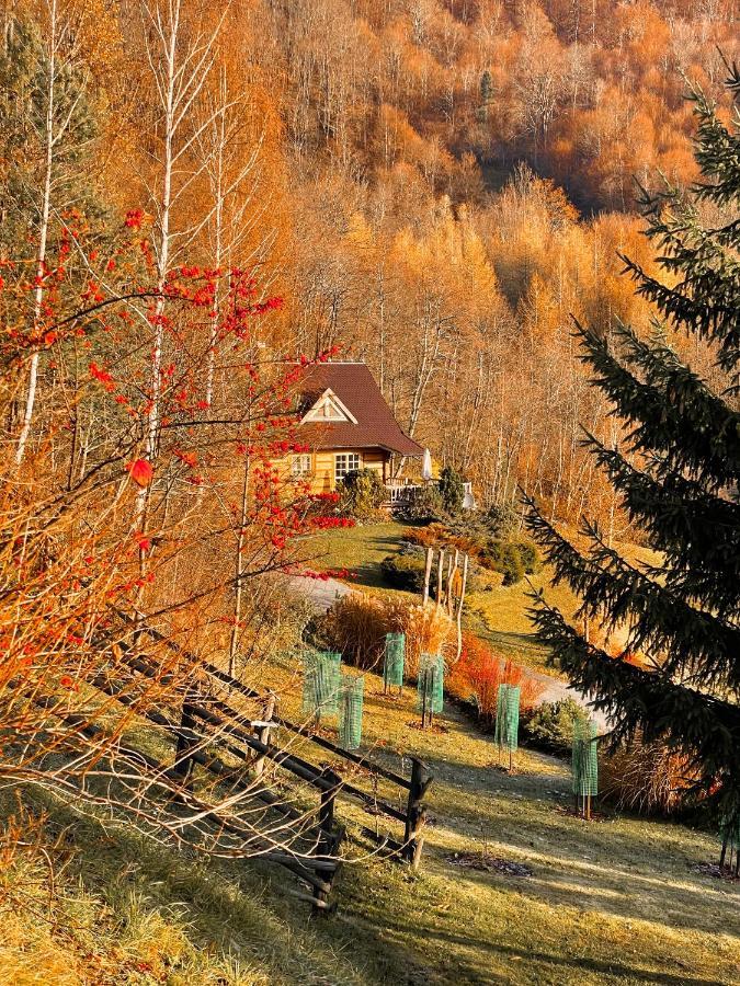 Lesne Uroczysko Villa Cisna Bagian luar foto