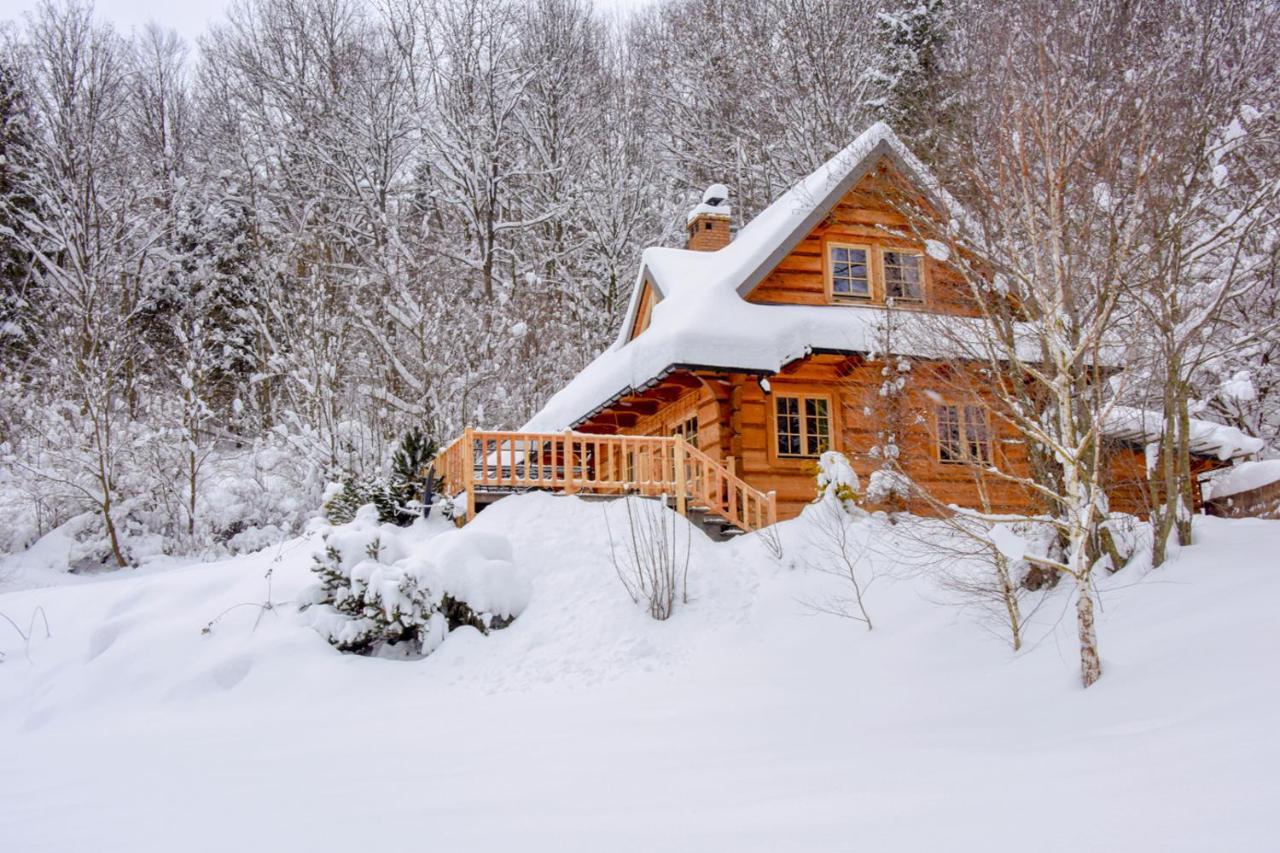 Lesne Uroczysko Villa Cisna Bagian luar foto